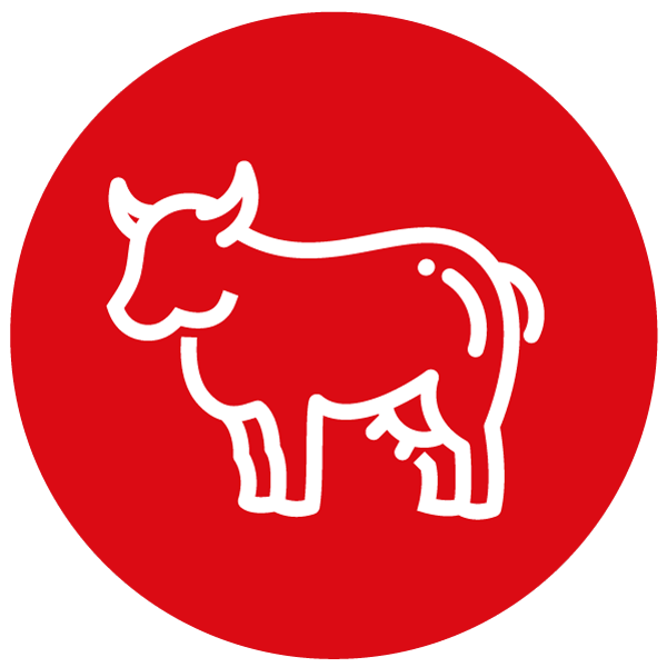  venta de carne de res en carnes oro