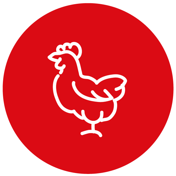 venta de carne de aves en carnes oro