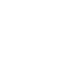 venta de carne de res importada