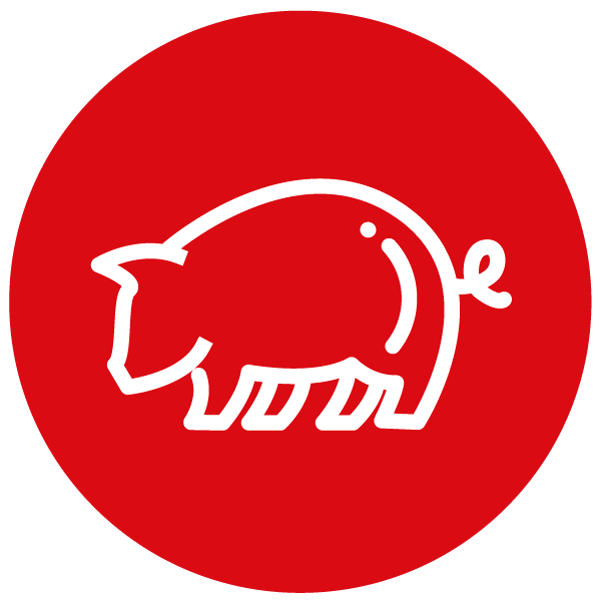 venta de carne de puerco en carnes oro